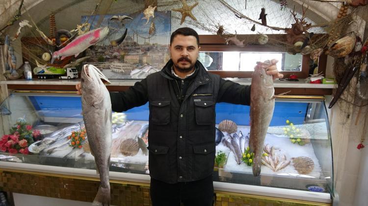 Kebabın tahtını sallayan lezzet Gaziantepte kilo kilo satılıyor