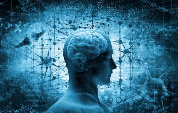 İnsan beyni 18de değil 32 yaşında olgunlaşıyor Bilimsel araştırmalarla kanıtlandı