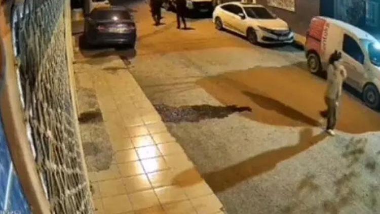 Mihriban cinayetinde tüyler ürperten bağlantı: Naileyi de mi Fatih İnan öldürdü