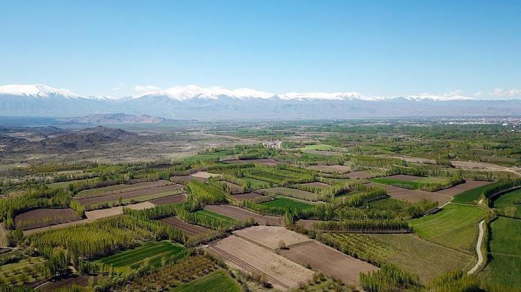 ‘KONUT DAHA ÖN PLANA ÇIKTI’