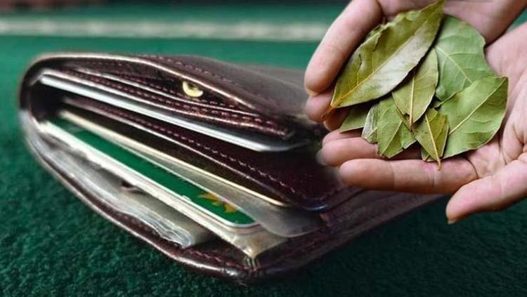Parayı mıknatıs gibi çekiyor: Cüzdanınızın içine 1 parça koyun