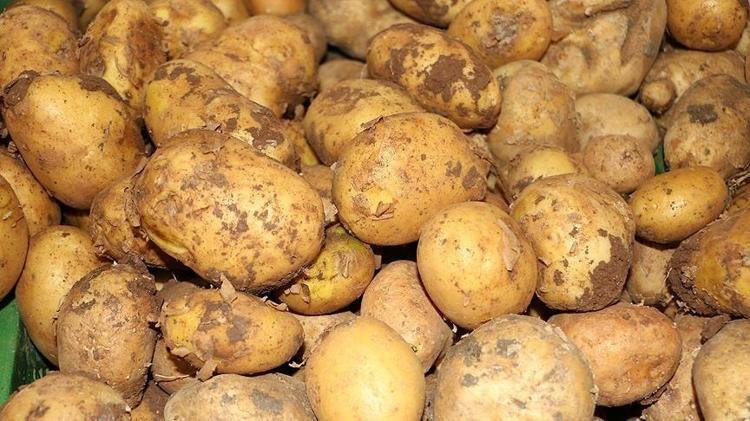 KİMYASALSIZ, TAZE VE EKONOMİK