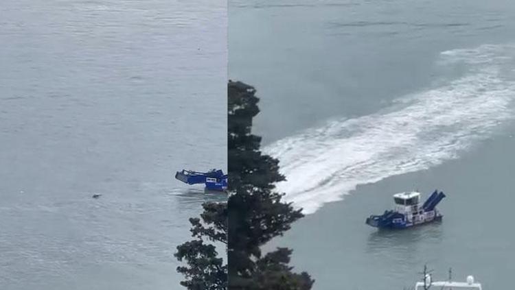 Boğazdaki sır perdesi aralanıyor: Bulunan erkek cesedi kayıp Rus yüzücüye mi ait