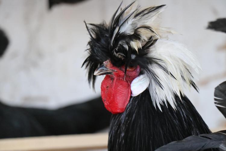 Denizlide kimsenin aklına gelmeyeni yaptı Olmaz deneni başardı