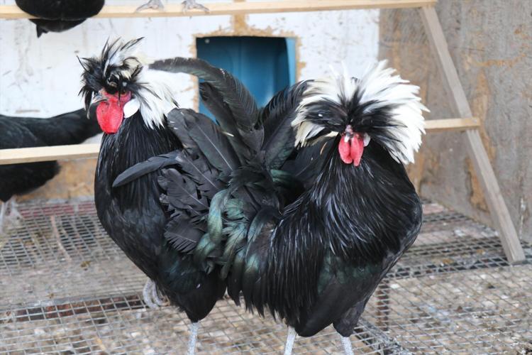 SOSYAL MEDYADA GÖRDÜ HAYATI DEĞİŞTİ