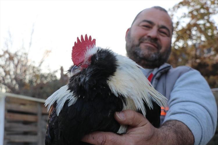 Denizlide kimsenin aklına gelmeyeni yaptı Olmaz deneni başardı