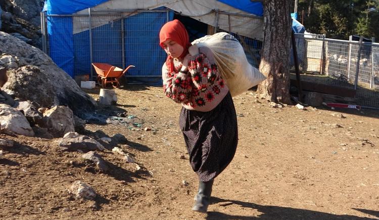 Hollandalılar hayatına hayran kaldı Hayvanları otlatarak üniversiteyi kazandı