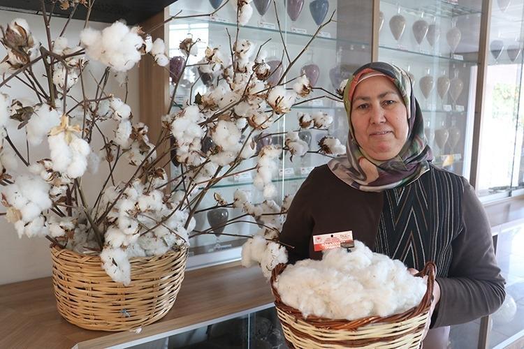 Hasat bitti, rakam dudak uçuklattı Sadece bir sezonda tam 700 milyon lira kazandırdı...