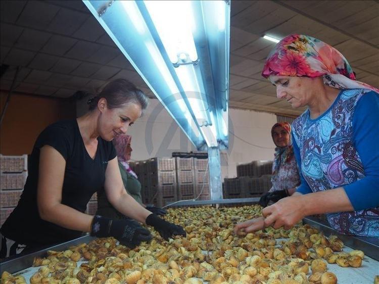 KALSİYUM ORANI ŞOKE ETTİ:SÜT ÜRÜNLERİNE RAKİP