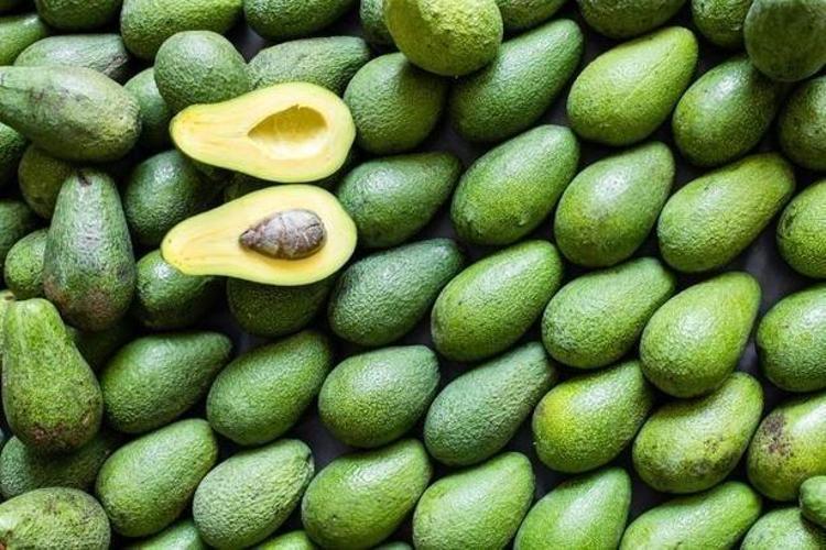 OLGUN AVOKADO BESİN DEĞERLERİNİN ZİRVESİNİ YAŞIYOR