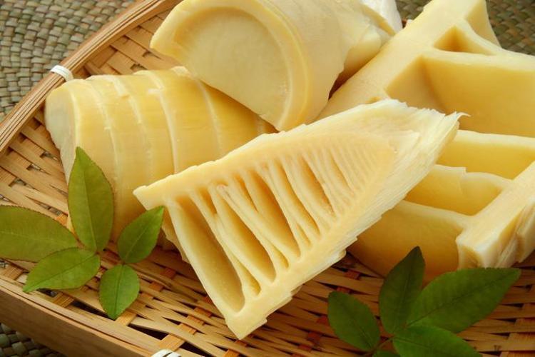 BİLİMSEL VERİLERLE BAMBU: MOLEKÜLER MUCİZE