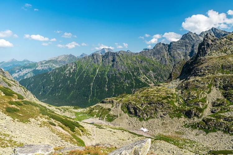 YATIRIMCI AKINI: BU 3 YERDEN TOPRAK ALIYORLAR