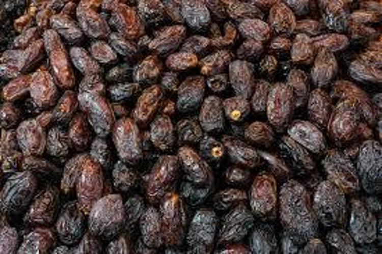 FIRINDA KURUTULMUŞ HURMA TARİFİ