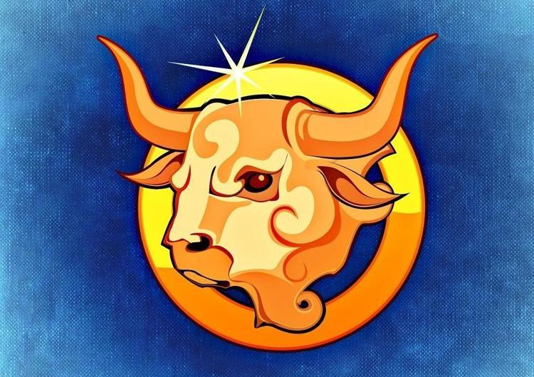 BOĞA VE YÜKSELEN BOĞALAR