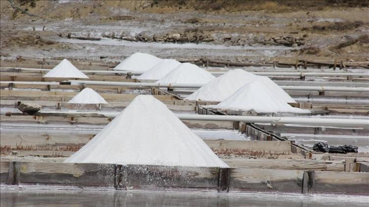 Himalaya tuzu mu, deniz tuzu mu Hangisinin daha sağlıklı olduğu ortaya çıktı
