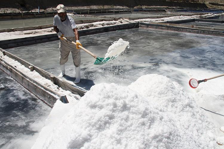 Himalaya tuzu mu, deniz tuzu mu Hangisinin daha sağlıklı olduğu ortaya çıktı
