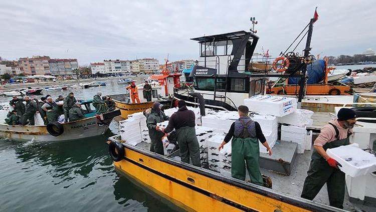 Tekirdağda bereket yaşanıyor, tanesi 2 bin 500 TL En faydalı balıklardan, kalp ve damarları koruyor