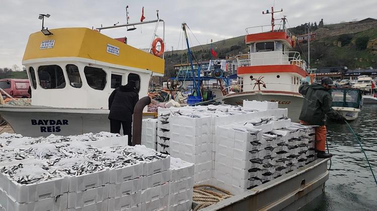 Tekirdağda bereket yaşanıyor, tanesi 2 bin 500 TL En faydalı balıklardan, kalp ve damarları koruyor