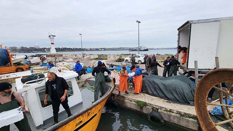 Tekirdağda bereket yaşanıyor, tanesi 2 bin 500 TL En faydalı balıklardan, kalp ve damarları koruyor