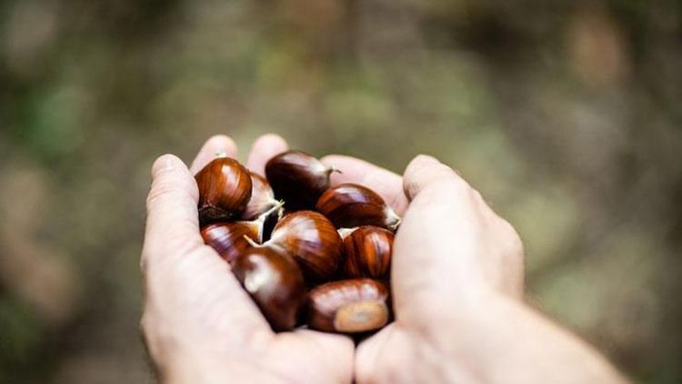 BUHAR BANYOSU İLE YUMUŞATIN