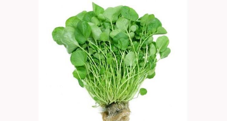 SADECE YOL KENARINDA DEĞİL, HER YERDE