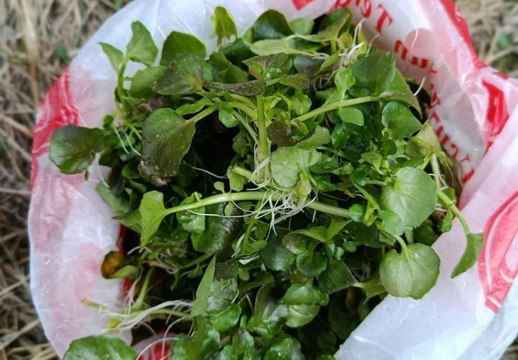 NEDEN BU KADAR GÜÇLÜ