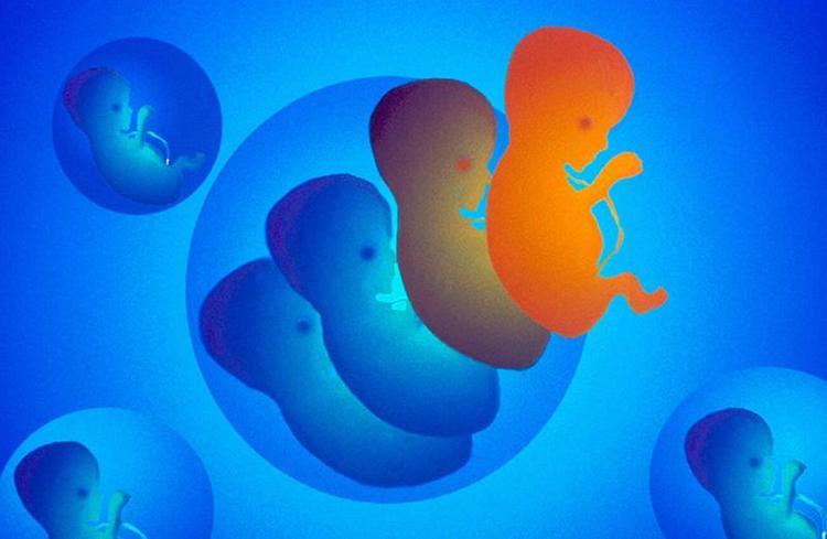 İNSAN KLONLAMA HEDEFİ