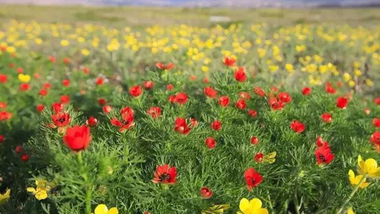 HAVALAR NE ZAMAN ISINACAK