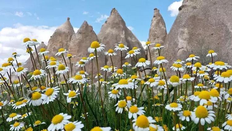 HAVALAR NE ZAMAN ISINACAK İLK CEMRE NE ZAMAN DÜŞECEK YAĞIŞLAR NE ZAMAN BİTECEK