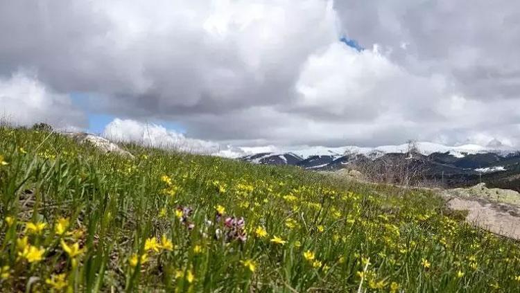 ŞUBAT, MART VE NİSAN 2026 MEVSİMLİK TAHMİNLERİ NE GÖSTERİYOR