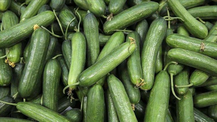 Domates ve salatalıktaki görünmez tehlike Sadece suyla yıkamak yetmiyormuş