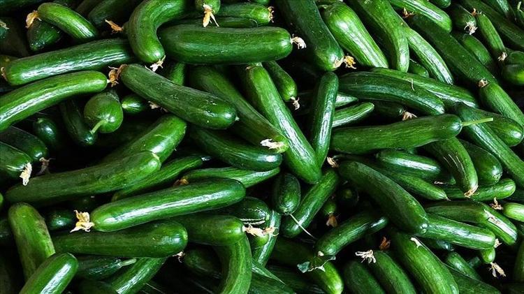 Domates ve salatalıktaki görünmez tehlike Sadece suyla yıkamak yetmiyormuş