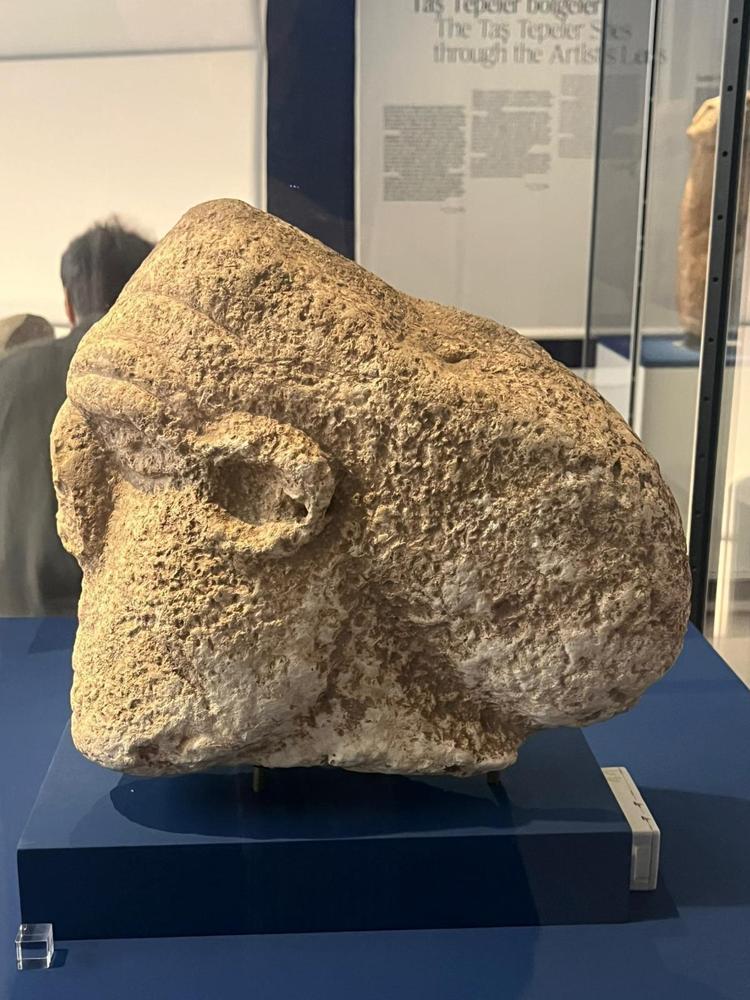 SERGİ NEOLİTİK ÇAĞDA İNSANLIĞIN BÜYÜK DÖNÜŞÜMÜNÜ ANLATACAK