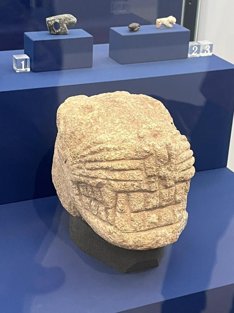 GÖBEKLİTEPE VE TAŞ TEPELER ULUSLARARASI SAHNEDE