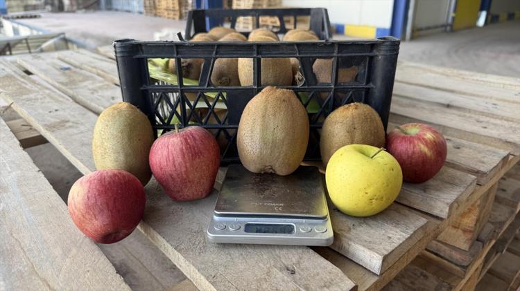 İznikten Avrupaya açılan kapı Tanesi 220 gram, görenler şoke oluyor