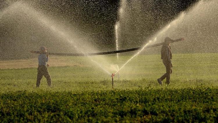 Tarladaki kaçak elektrik cebimizi çarpıyor En büyük sorun mısır sulamasında