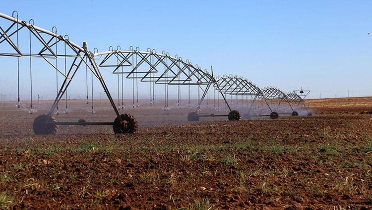 Tarladaki kaçak elektrik cebimizi çarpıyor En büyük sorun mısır sulamasında