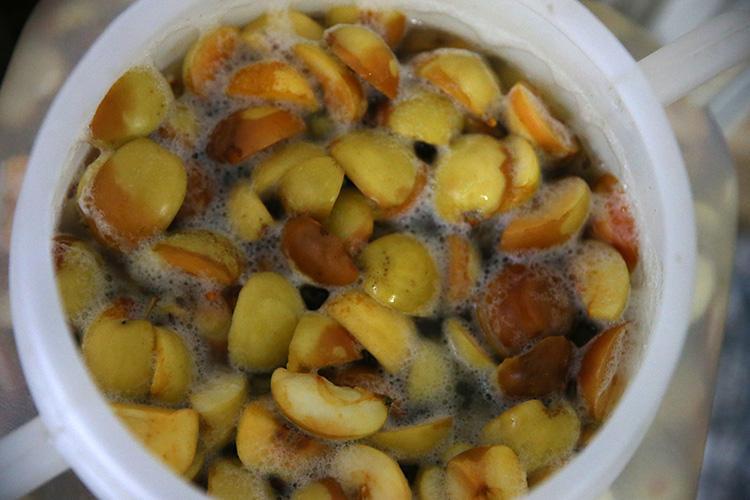 40 yıllık sirkecinin sirke tarifi Evde sirke nasıl yapılır