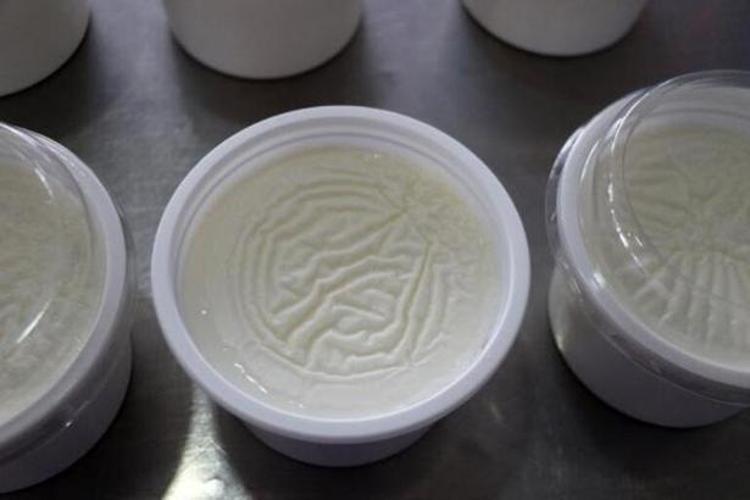 Evde ilk yoğurt mayası nasıl yapılır Ilık sütün içine 1 avuç eklemek yetiyor