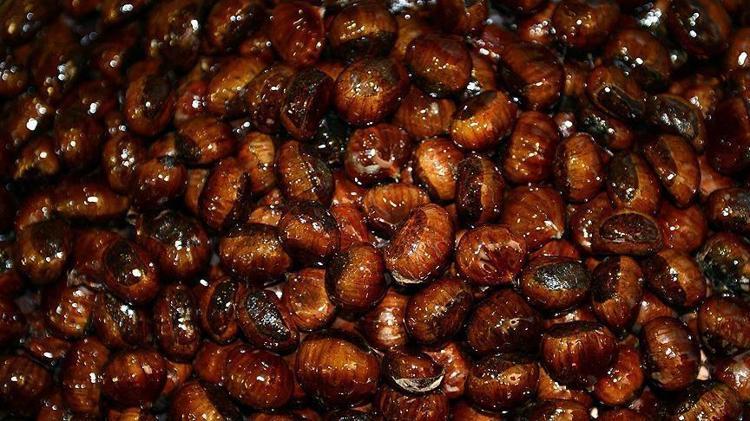 Ramazan’da tatlı tercihi değişiyor Bursanın geleneksel lezzeti kilo kilo satılıyor, şeker ihtiyacını anında gideriyor