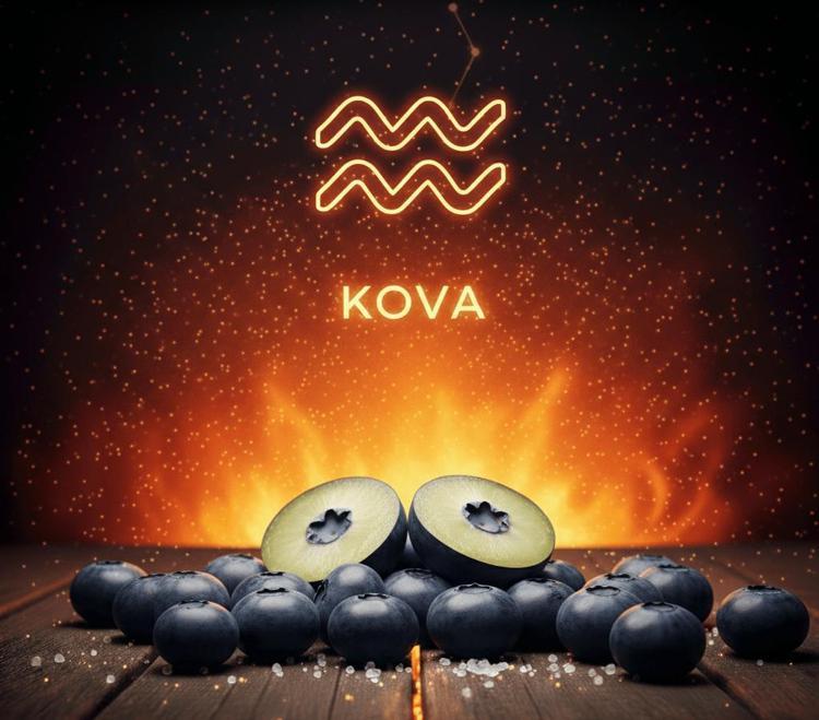 KOVA: YABAN MERSİNİ