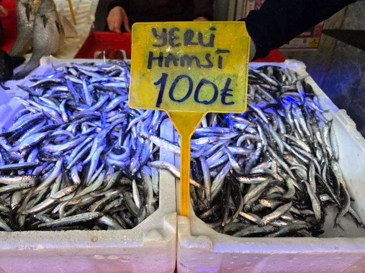 Kilosu 100 TLye düştü Vatandaşlar hem boyutundan hem fiyatından memnun