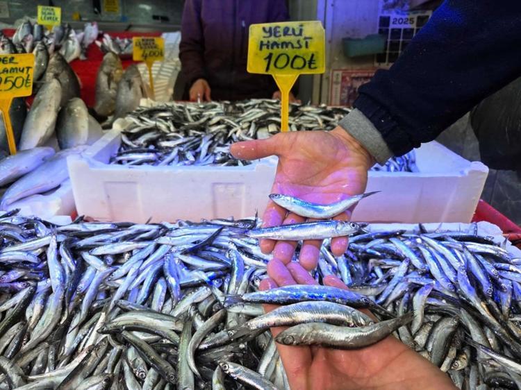 Kilosu 100 TLye düştü Vatandaşlar hem boyutundan hem fiyatından memnun