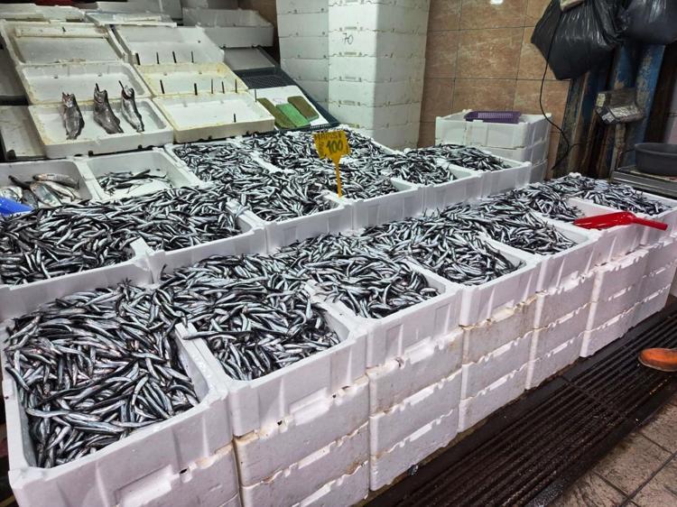 UZUN ZAMAN SONRA EN İYİSİ