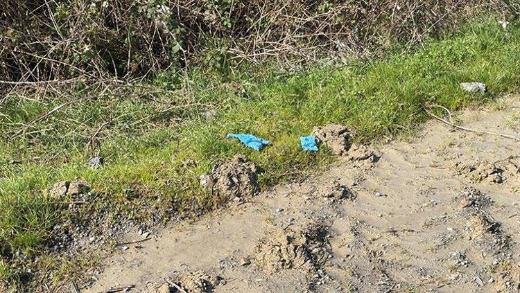 Çinli iş insanı cinayetinde truva atı detayı Koli bandıyla bağlanıp canlı canlı mı gömüldü