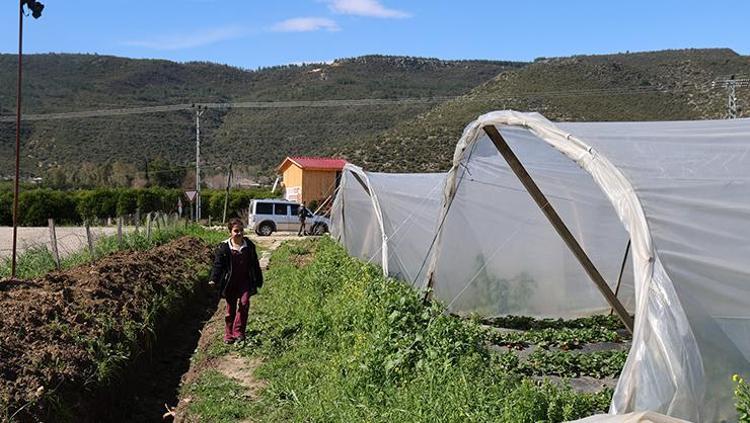 ÇİLEK TURİZMİ OLUŞTU