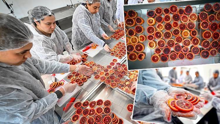 Kurutularak 12 ay tüketilebilir hâle getiriliyor Coğrafi işaretli lezzet kadın emeğiyle geleceğe taşınıyor
