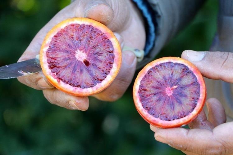 ÜRETİCİ KADINLAR, BÖLGE EKONOMİSİNİN VE YEREL KALKINMANIN BİR PARÇASI OLUYOR