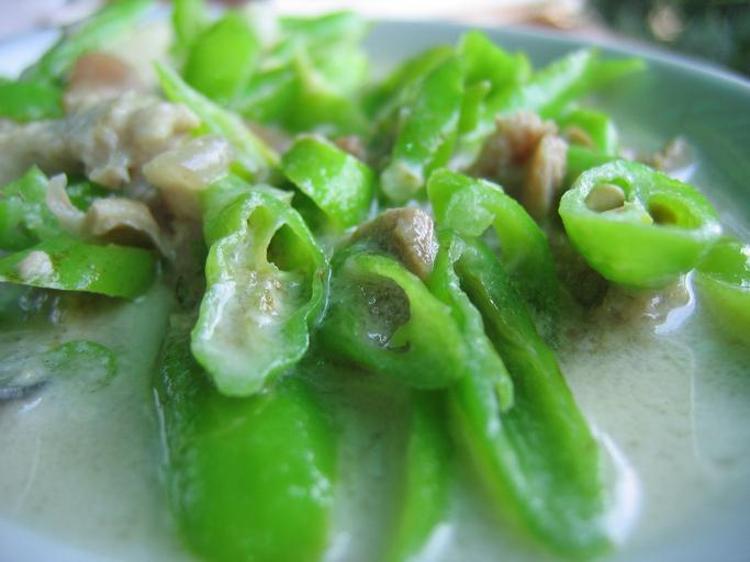 SÜTLÜ BİBER KAVURMASI (TRAKYA USULÜ)