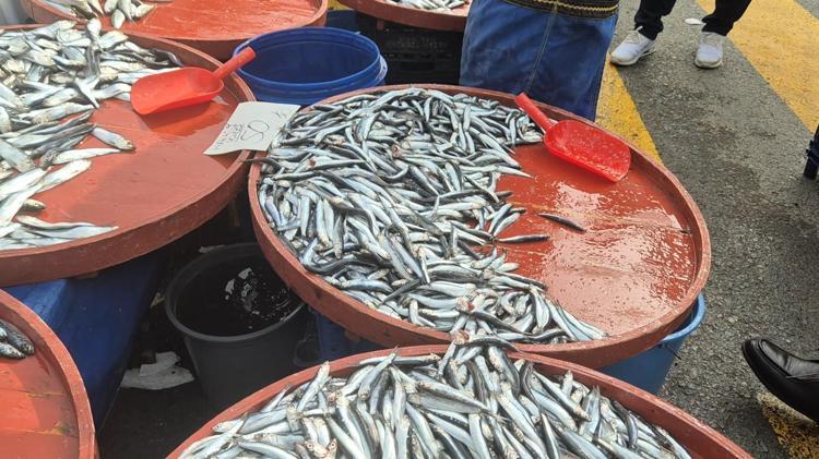 Pazarda gören torba torba alıyor Kilosu 50 TLye düştü: Kolesterolü sıfırlayıp tıkalı damarları açıyor